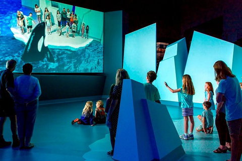 Phillip Island Antarctic Journey: Entry Ticket - Palm Beach Accommodation 1