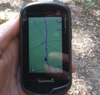 GPS guided walks in the Daylesford Forest - Palm Beach Accommodation