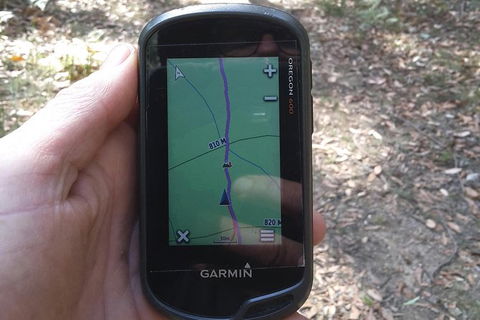 GPS Guided Walks In The Daylesford Forest - Palm Beach Accommodation 0