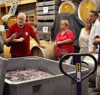 5 Hour Private Wine Tour - Palm Beach Accommodation