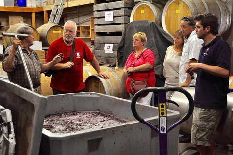 5 Hour Private Wine Tour - Palm Beach Accommodation 2