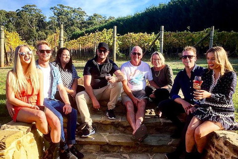 5 Hour Private Wine Tour - Palm Beach Accommodation 5