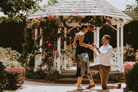 Photoshoot In Stunning Locations! (sydney) - Palm Beach Accommodation 4