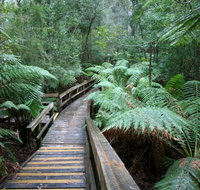Small-group DayTour from Hobart Hastings Caves Huon Valley and Tahune AirWalk - Palm Beach Accommodation