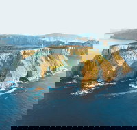 3-Hour Tasman Peninsula Wilderness Cruise from Port Arthur - Palm Beach Accommodation