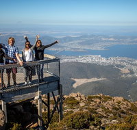 Mt Field National Park Active Day-Trip Including Bonorong and Mt Wellington - Palm Beach Accommodation