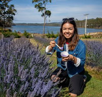 Port Arthur and Lavender Farm Active Day Tour - Palm Beach Accommodation