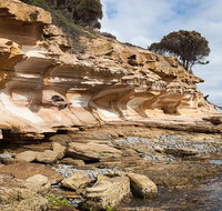 Maria Island premium private photo-oriented day tour from Hobart - Palm Beach Accommodation