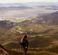 Mt Wellington Half Day Guided Summit Hike - Palm Beach Accommodation