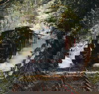 West Coast Wilderness Railway River and Rainforest from Strahan - Palm Beach Accommodation