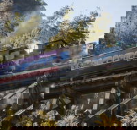 West Coast Wilderness Railway Queenstown Explorer from Strahan - Palm Beach Accommodation