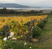 Mona and Wine Experience Tour - Palm Beach Accommodation