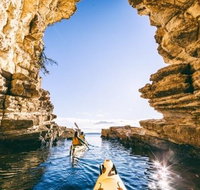 Hobart Kayak Tour - Palm Beach Accommodation