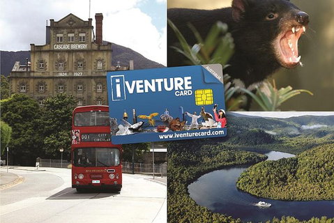Tasmania Sightseeing Pass: Flexi 3 Pass - Palm Beach Accommodation 0