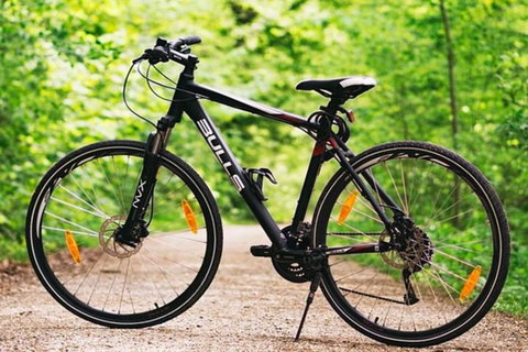 Hobart Shore Excursion: Small Group Mount Wellington 3-Hour Bike Tour - Palm Beach Accommodation 1
