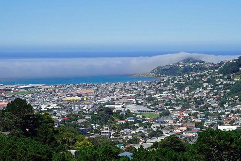 Hobart Shore Excursion: Small Group Mount Wellington 3-Hour Bike Tour - Palm Beach Accommodation 0
