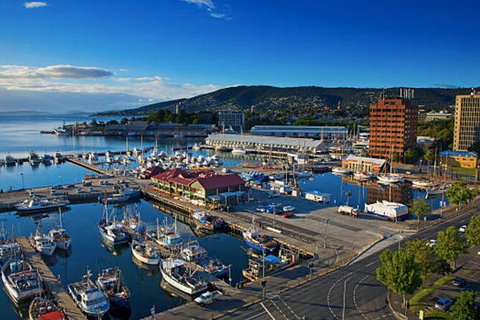 Hobart Shore Excursion: Small Group Mount Wellington 3-Hour Bike Tour - Palm Beach Accommodation 6