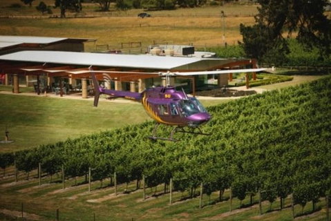 Home Hill Winery Helicopter Tour - Palm Beach Accommodation 0
