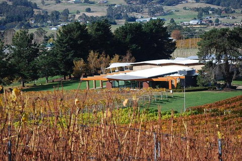 Home Hill Winery Helicopter Tour - Palm Beach Accommodation 1