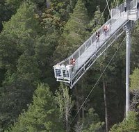 Cruise Ship Special from Hobart Mt Wellington and Tahune AirWalk - Palm Beach Accommodation