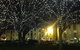 Private Hobart City By Night Tour - thumb 0