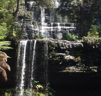 Private Mt Field National Park Day Trip from Hobart Including Salmon Ponds and Bonorong Wildlife Sanctuary - Palm Beach Accommodation