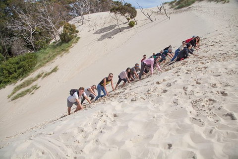 6-Day Tasmanian Explorer Adventure Tour From Hobart - Palm Beach Accommodation 3
