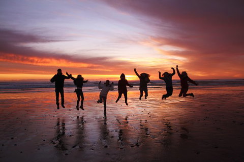 6-Day Tasmanian Explorer Adventure Tour From Hobart - Palm Beach Accommodation 5