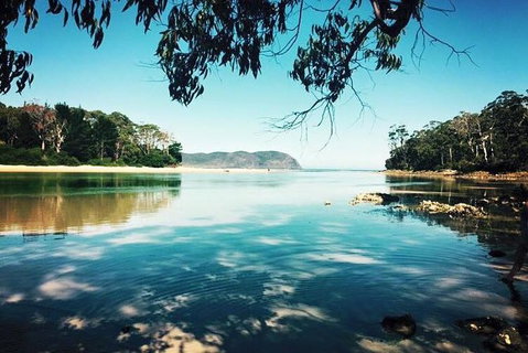 Full-Day Guided Bruny Island Tour From Hobart - Palm Beach Accommodation 4