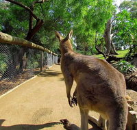 Wilderness and Wildlife - Palm Beach Accommodation