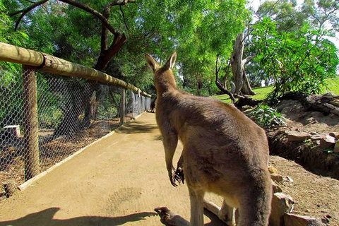 Wilderness And Wildlife - Palm Beach Accommodation 0