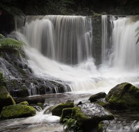 Mt Field National Park premium private photo-oriented day tour from Hobart - Palm Beach Accommodation