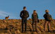 Small Group Tasmanias Wilderness And Wildlife Day Tour - thumb 0