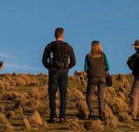 Small Group Tasmanias Wilderness And Wildlife Day Tour - Palm Beach Accommodation