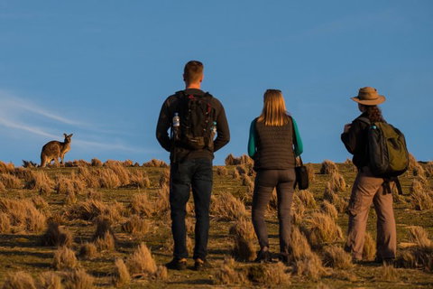 Small Group Tasmanias Wilderness And Wildlife Day Tour - Palm Beach Accommodation 0