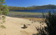 Lake St. Clair And Western Wilderness Active Day Trip From Hobart - thumb 5