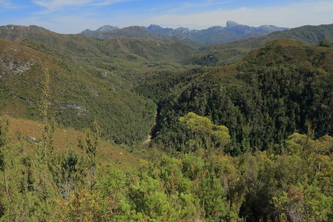 Lake St. Clair And Western Wilderness Active Day Trip From Hobart - Palm Beach Accommodation 9