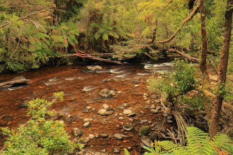 Lake St. Clair And Western Wilderness Active Day Trip From Hobart - Palm Beach Accommodation 15