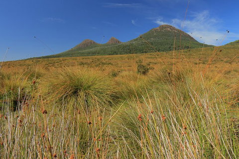 Lake St. Clair And Western Wilderness Active Day Trip From Hobart - Palm Beach Accommodation 11