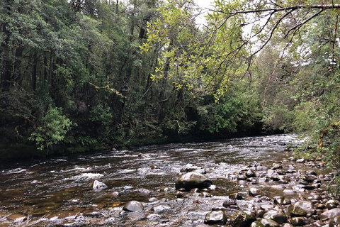 Lake St. Clair And Western Wilderness Active Day Trip From Hobart - Palm Beach Accommodation 4