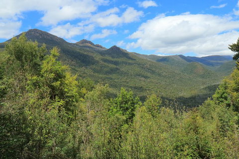 Lake St. Clair And Western Wilderness Active Day Trip From Hobart - Palm Beach Accommodation 13