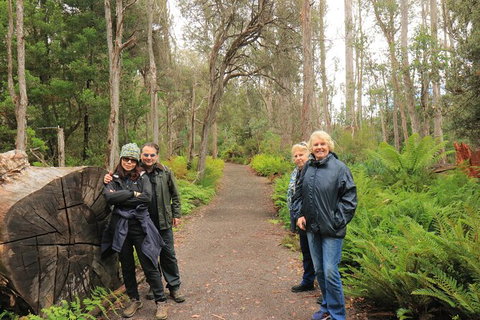 Lake St. Clair And Western Wilderness Active Day Trip From Hobart - Palm Beach Accommodation 8