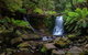 Mt Field And Styx Valley Photography Tour - thumb 3