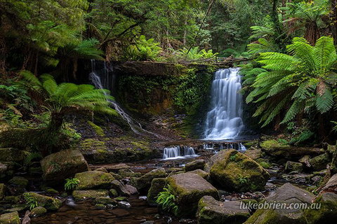 Mt Field And Styx Valley Photography Tour - Palm Beach Accommodation 3