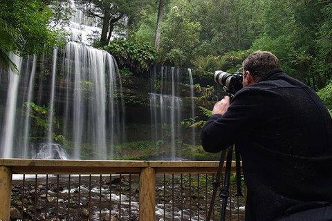 Mt Field And Styx Valley Photography Tour - Palm Beach Accommodation 2