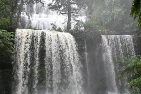 Small-group Tour From Hobart: Derwent River Valley And Coal River Valley - Palm Beach Accommodation 0