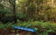 Small-group Tour From Hobart: Derwent River Valley And Coal River Valley - thumb 7
