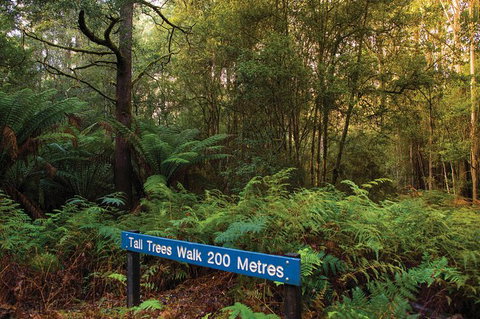 Small-group Tour From Hobart: Derwent River Valley And Coal River Valley - Palm Beach Accommodation 7