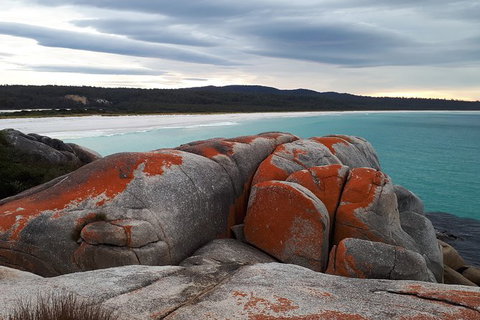 3-Day Bay Of Fires Photography Workshop From Hobart - Palm Beach Accommodation 3