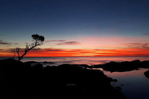 3-Day Bay Of Fires Photography Workshop From Hobart - Palm Beach Accommodation 5